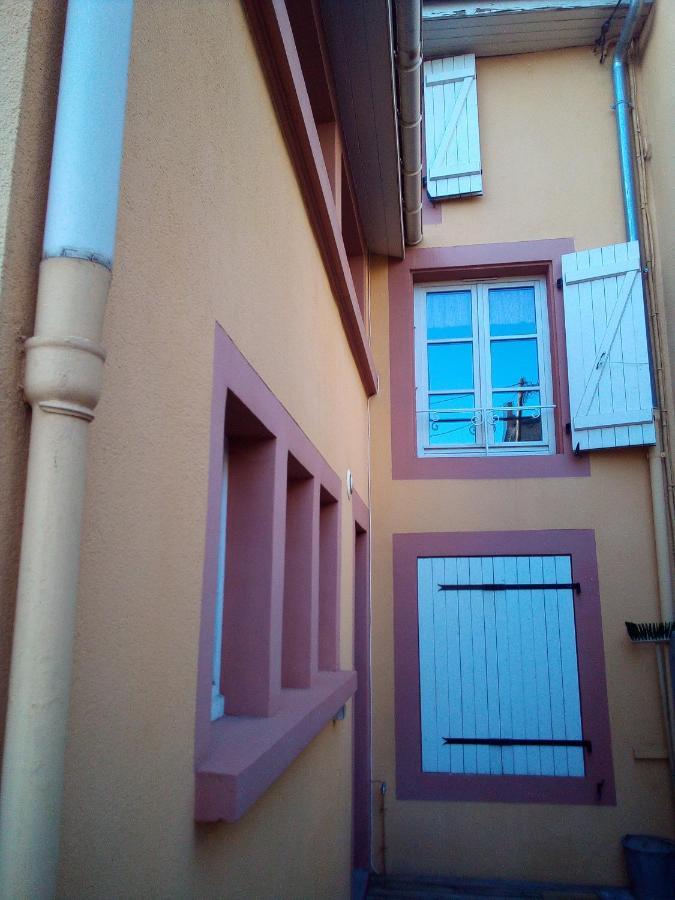 סארבורג L'Oasis Maisonnette Centre Ville 3 Chambres Terrasse Espace Vert Prive Parc Sainte Croix Center Parc 20 Minutes מראה חיצוני תמונה
