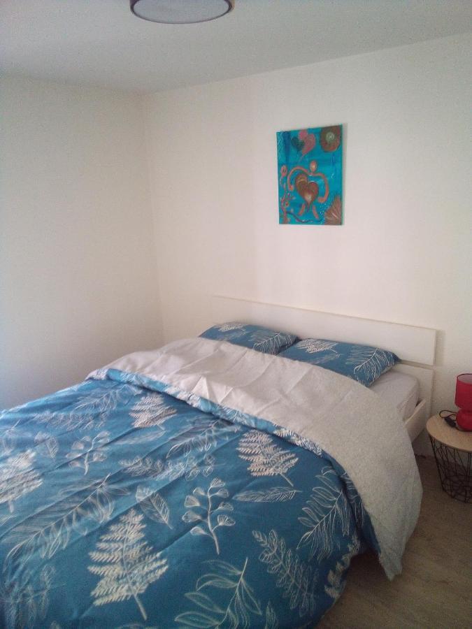 סארבורג L'Oasis Maisonnette Centre Ville 3 Chambres Terrasse Espace Vert Prive Parc Sainte Croix Center Parc 20 Minutes מראה חיצוני תמונה